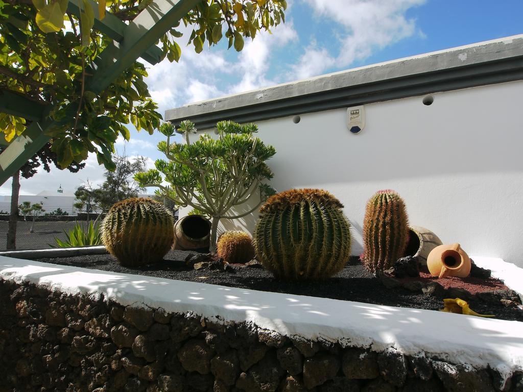 Apartamentos Guacimeta Matagorda エクステリア 写真