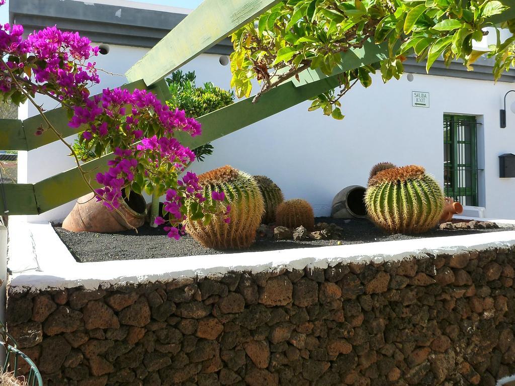 Apartamentos Guacimeta Matagorda エクステリア 写真